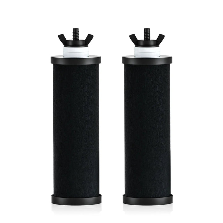 Purewell Replacement Black Filter Elements - 2 pcs Purewell